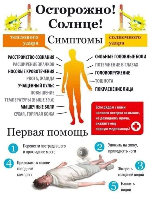 FB_IMG_1626613093967.jpg